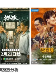 传媒行业：2024年悬疑大剧品牌投放分析