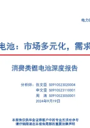 消费类锂电池：市场多元化，需求持续增长