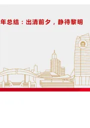 光伏行业2024年半年总结：出清前夕，静待黎明