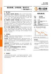储能专题系列（1）：装机高增，价格底部，盈利分化