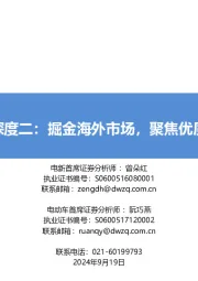 大储深度二：掘金海外市场，聚焦优质龙头