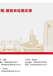 电气设备行业行业周报：宁德宜春锂生产线调整，锂板块短期反弹