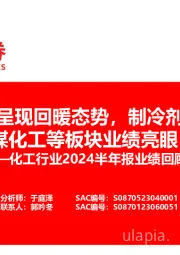 化工行业2024半年报业绩回顾:24H1行业呈现回暖态势,制冷剂、轮胎、煤化工等板块业绩亮眼