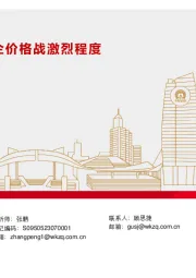 汽车行业：从半年度业绩看车企价格战激烈程度
