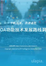 2024中国NOA功能技术发展路线洞察分析报告：千帆竟发，勇进者胜