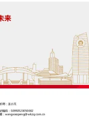 有色金属行业：乘风周期，把握未来