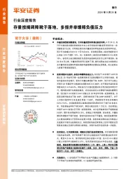 银行行业深度报告：存量按揭调降靴子落地，多措并举缓释负债压力