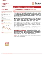 有色金属 能源金属＆新材料周报：碳酸锂震荡格局， 关注软磁材料配置机会