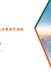 社会服务行业周报：利好政策齐发，可选消费股价强劲