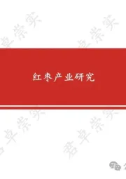 红枣产业研究