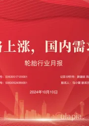 轮胎行业月报：原材料价格上涨，国内需求有望提升