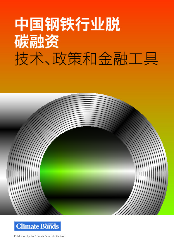 中国钢铁行业脱碳融资：技术、政策和金融工具
