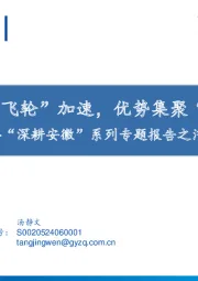 “深耕安徽”系列专题报告之汽车篇：电动智能“飞轮”加速，优势集聚“汽”势磅礴
