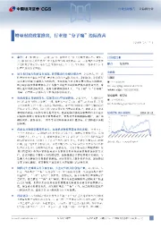 计算机行业点评报告：增量财政政策推出，行业迎“分子端”边际改善