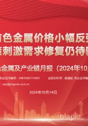 有色金属及产业链月报：有色金属价格小幅反弹 政策刺激需求修复仍待验证