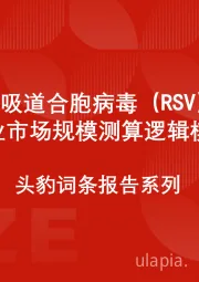 中国呼吸道合胞病毒(RSV)疫苗行业市场规模测算逻辑模型 头豹词条报告系列