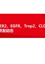 ADC专题二：5大ADC靶点（HER2、EGFR、Trop2、CLDN18.2、Nectin-4）全球研发动态