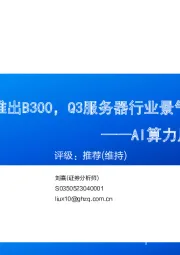 AI算力月度跟踪（202410）：英伟达将推出B300，Q3服务器行业景气持续向上