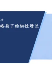 中国隐形正畸行业年度洞见报告：稳固“双寡头”格局下的韧性增长2024年3月
