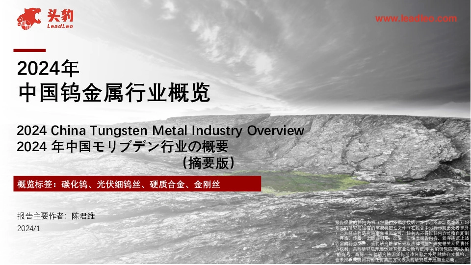 2024年中国钨金属行业概览