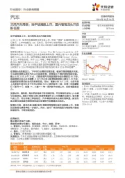 汽车行业周报：地平线港股上市，国内智驾龙头开启新征程