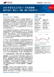 2024年石化化工行业11月投资策略:看好天然气、氟化工、民爆、磷化工的投资方向