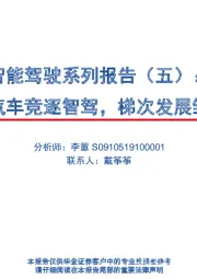 智能驾驶系列报告(五):新能源汽车竞逐智驾,梯次发展雏形或现