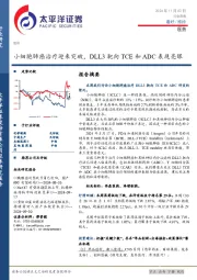 医药行业周报：小细胞肺癌治疗迎来突破，DLL3靶向TCE和ADC表现亮眼