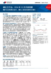 磷化工行业：2024年10月月度观察：磷矿石价格高位运行，磷化工板块利润同比增长