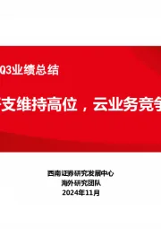 海外科技公司2024Q3业绩总结：资本开支维持高位，云业务竞争加剧