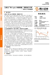 计算机行业海外云厂商专题报告:北美云厂商CapEx持续高增,预期指引乐观