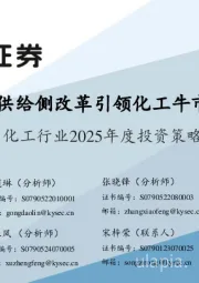 化工行业2025年度投资策略:供给侧改革引领化工牛市