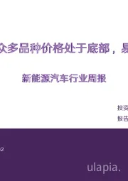 新能源汽车行业周报：产业链众多品种价格处于底部，易涨难跌