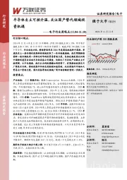电子行业周观点：半导体自主可控升温，关注国产替代领域投资机遇