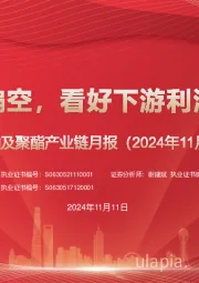 原油及聚酯产业链月报(2024年11月):原油预期偏空,看好下游利润修复空间