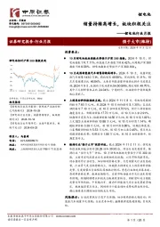 锂电池行业月报:销量持续高增长,板块积极关注
