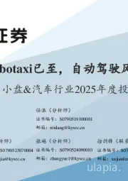 开源中小盘&汽车行业2025年度投资策略:Robotaxi已至,自动驾驶风起