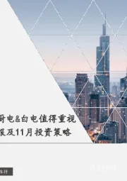 家电行业10月月报及11月投资策略:政策催化内销景气,厨电&白电值得重视