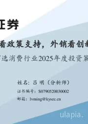 可选消费行业2025年度投资策略:内销看政策支持,外销看创新能力