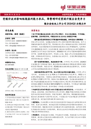 有色金属行业镁合金板块上市公司2024Q3业绩点评:受镁价波动影响短期盈利能力承压,降费增研有望提升镁合金竞争力