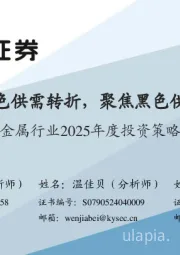 金属行业2025年度投资策略：把握有色供需转折，聚焦黑色供给变革