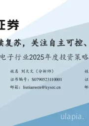电子行业2025年度投资策略:电子行业周期持续复苏,关注自主可控、AI两大投资主线