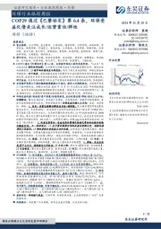 环保行业跟踪周报：COP29通过《巴黎协定》第6.4条，环保受益化债关注成长/运营重估/弹性