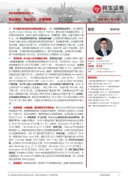 海外黄金股观察系列之九：科尔黛伦：历史悠久，步履蹒跚