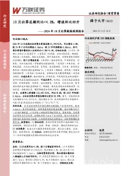 2024年10月社零数据跟踪报告：10月社零总额同比+4.8%，增速环比回升