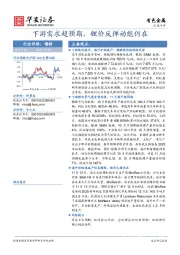 有色金属：下游需求超预期，锂价反弹动能仍在