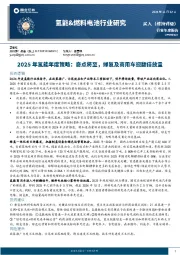 2025年氢能年度策略：奇点将至，绿氢及商用车迎翻倍放量