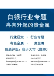 白银行业专题：冉冉升起的贵金属
