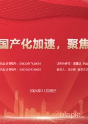 电子化学品国产化加速，聚焦核心竞争力