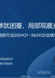 电新行业2024Q1~3&24Q3业绩总结：整体犹困蹇，局部现晨光